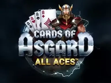 Vasy Casino screenshot